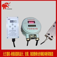 供应起重机防爆超载限制器