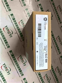 IC693UAL006RR伺服电机耐用性强