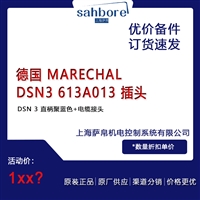 德国 MARECHAL DSN3 613A013 插头