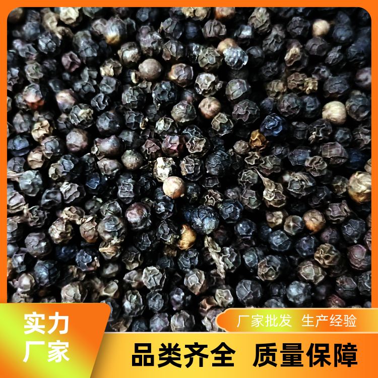 海南黑胡椒白胡椒粒有一口钟丁香茅草果口味纯正黑胡椒粒香料大全 