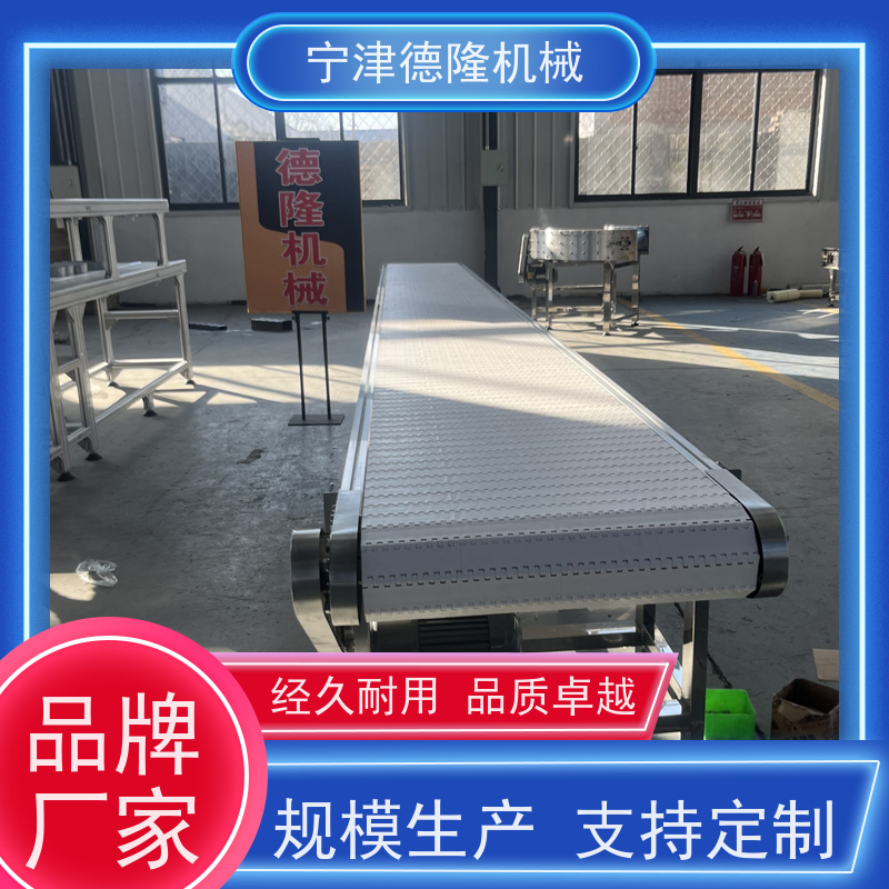 德隆厂家 PP塑料链板输送机  多层网带烘干设备 非标定制