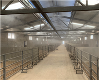 潼南饲料厂车辆消毒喷雾设备-屠宰场喷淋消毒系统