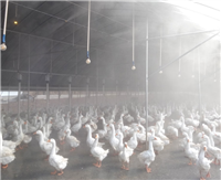 涪陵饲料厂车辆消毒喷雾设备-屠宰场喷淋消毒系统