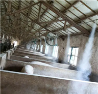 绵阳饲料厂车辆消毒喷雾设备-屠宰场喷淋消毒系统