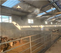 铜川饲料厂车辆消毒喷雾设备-屠宰场喷淋消毒系统