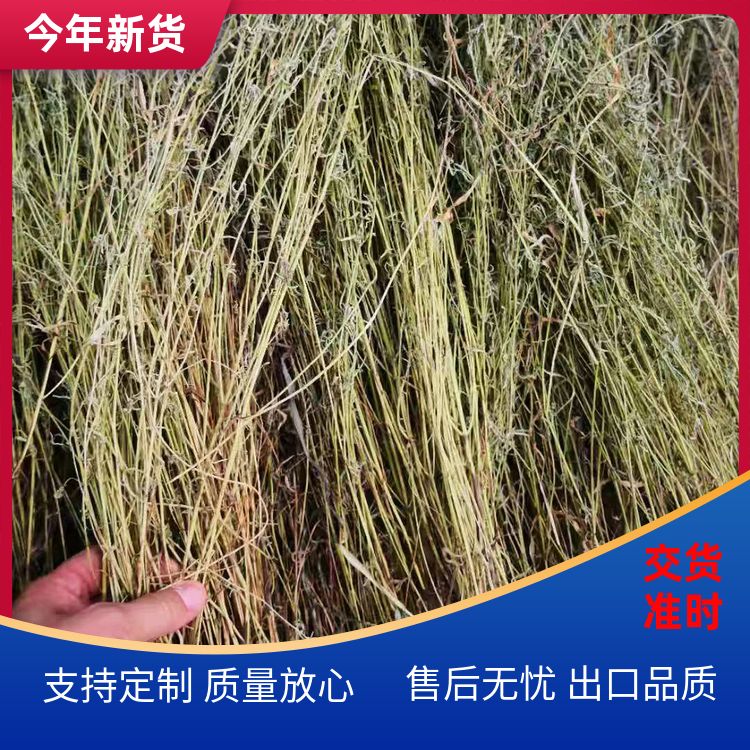 香草500g细梗香草重庆花椒江津青麻厂商销售细香草香薷草 咨询电话 