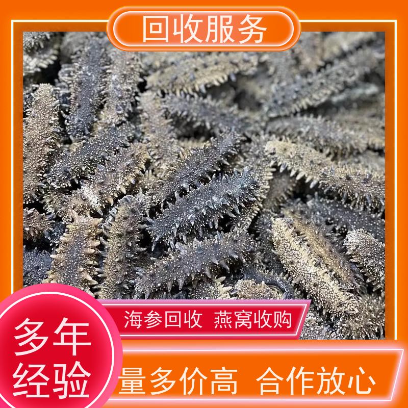 高价上门回收海参回收海参礼品 快速打款 用心服务
