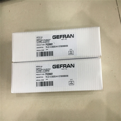 GEFRAN磁致伸缩位移传感器TR-N1C-C40-12130X000X00