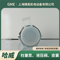 哈威LB 2 C-10单向阀HAWE止回阀环保行业/篦冷机常备