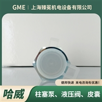 哈威LB 3 F-30单向阀hawe止回阀注塑机/水泥机械