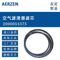 德国AERZEN  2000054375空气滤清器滤芯