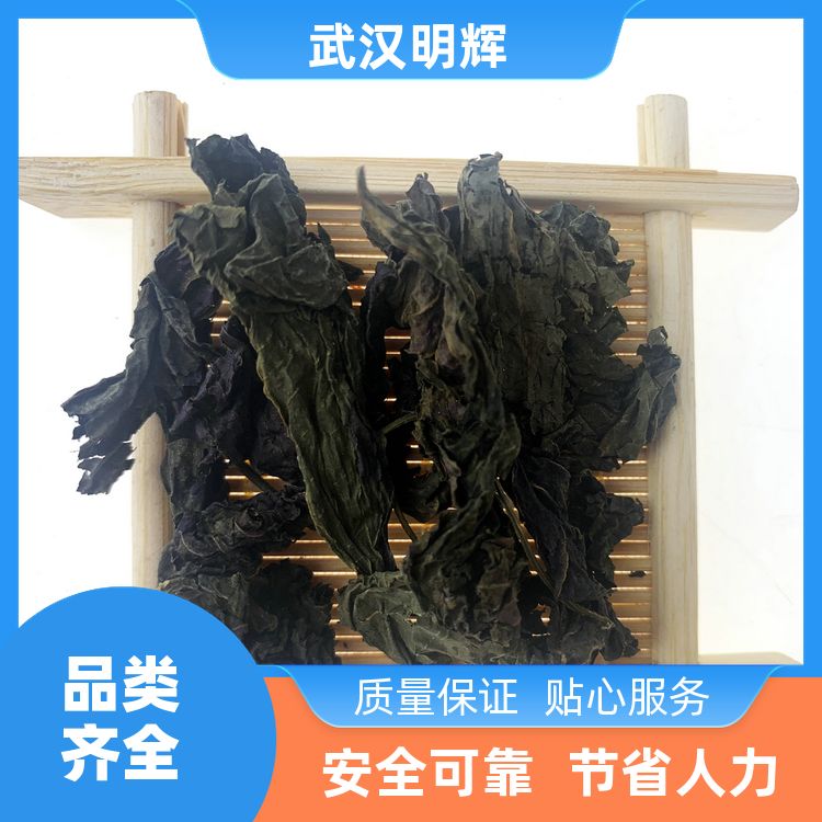 广西紫苏新货食用食用干货泡脚烧鱼虾香味浓郁紫苏叶香苏厂家地址 