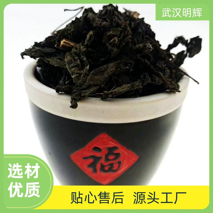 广西紫苏叶新货食用食用干货泡脚烧鱼虾特香散装紫苏香苏厂家定制 