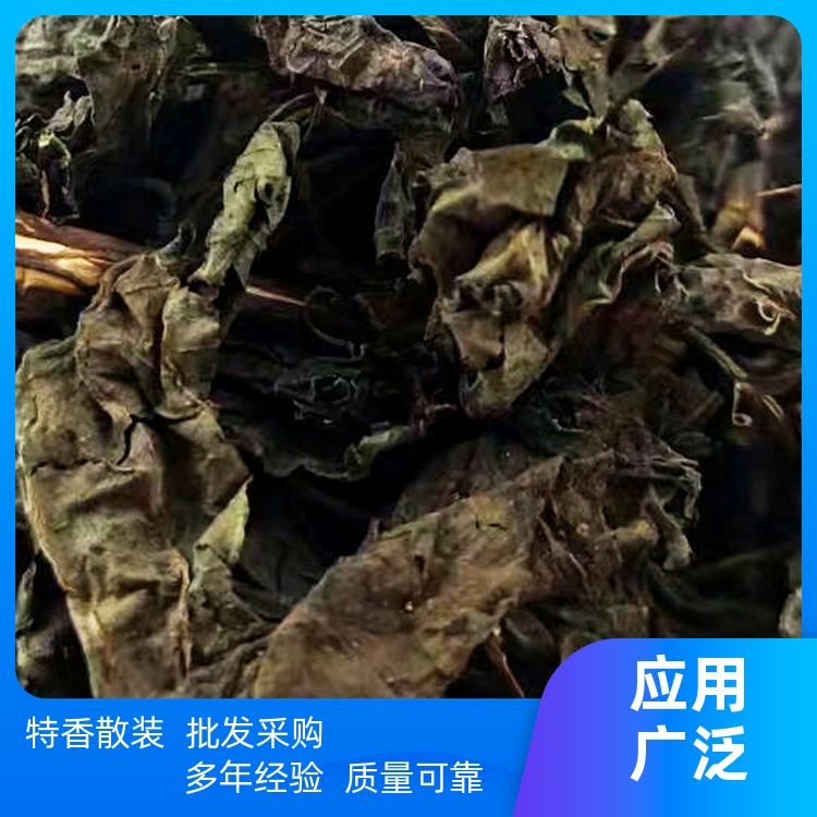 紫苏500g干货中药材天然中药材香苏叶干特香散装紫苏香苏生产厂家 