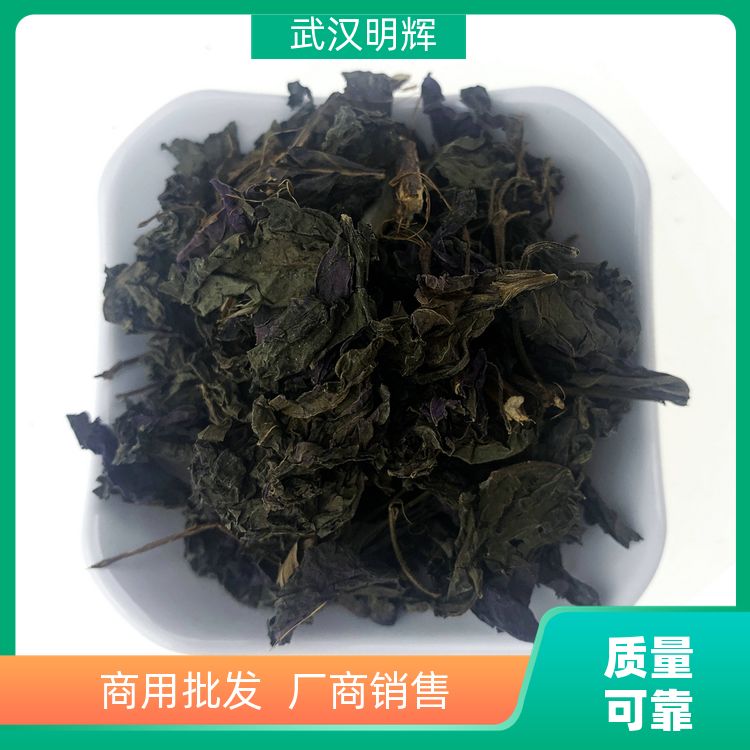 紫苏叶原料直供不熏染产地直供头茬新品定制加工紫苏叶香苏电话 