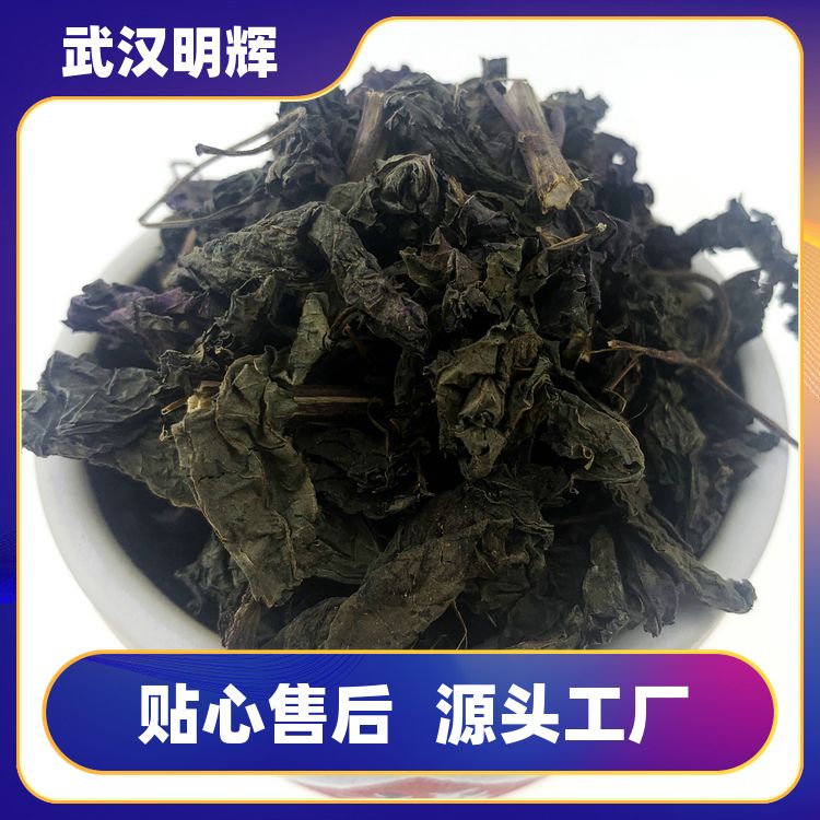 紫苏叶500g子苏碎产地直供头茬新品厂商销售紫苏叶香苏碎厂家直供 