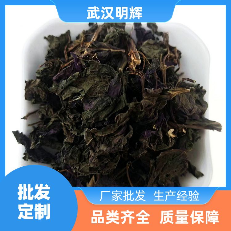 紫苏叶原料直供不熏染天然中药材香苏叶干香味浓郁紫苏叶香苏直供 