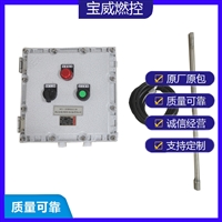 BWFD-12废钢预热防爆点火装置