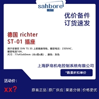 德国 richter ST 01 插座