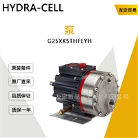 HYDRA CELL G25XKSTHFEYH 泵