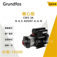 Grundfos CM3 3A RAEAOOEFAAN 离心泵