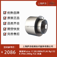 德国Wistro 17.00.0806/FLAI Bg132KIP66 290lg FLE 风扇