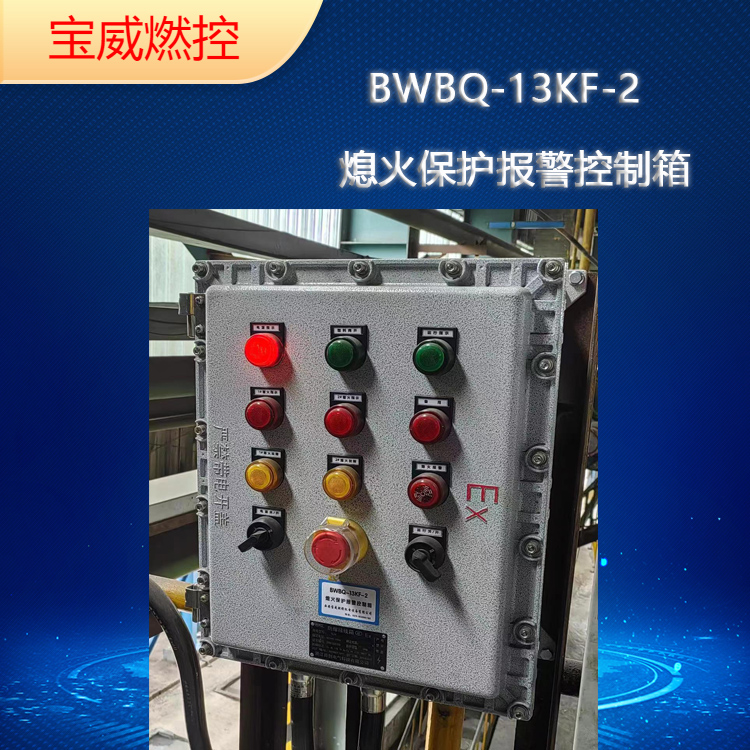 BWBQ-13KF-2钢铁厂 裂解炉 熄火保护报警控制 两路同时监测的简介