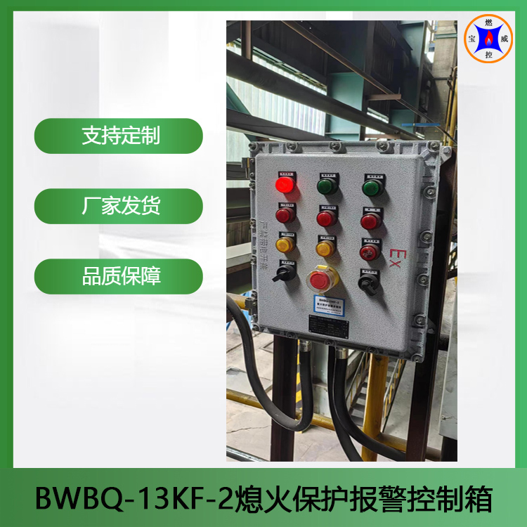 BWBQ -13KF-2尾气焚烧炉 两路火焰检测 熄火保护控制的使用说明