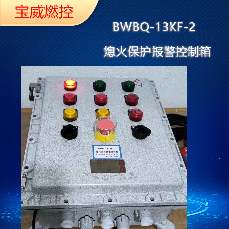 BWBQ-13KF-2钢铁厂 裂解炉 熄火保护报警控制 两路同时监测的简介