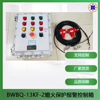 宝威燃控供应 BWBQ -13KF-2工厂中间包熄火报警装置 双路输出