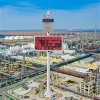 能源电力企业恶臭投诉监测设备 肉类冷冻库恶臭气体在线监测