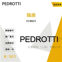 PEDROTTI ECBB25 插座 议价