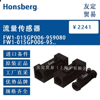 Honsberg FW1-015GP006-959080 流量传感器 议价