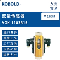 KOBOLD VGK-1103R15 流量传感器 议价