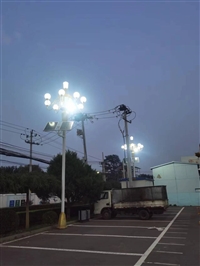 LED道路照明灯 批发太阳能路灯 景观灯 工厂