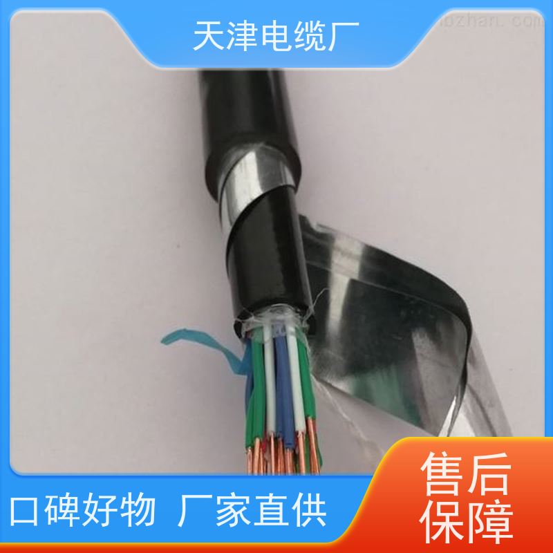 长途对称电缆ZRC-PTYA23天津厂商动车专用信号电缆
