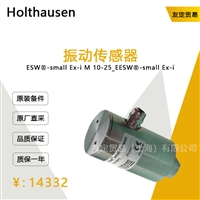 Holthausen ESW-small Ex-iM 10-25 E 振动传感器 议价