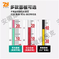 M48*1.5内螺纹UHC-9301PB-3液化气储罐液位计100螺栓孔径