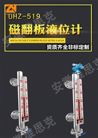 带排气阀磁翻版液位计WSK-UHZ-98S0P内衬PTFE材质316L测杆