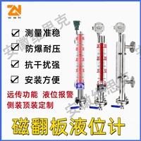 UOZ-98D5V-65报警型磁力液位计AES酸类介质可用耐温200度