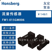 Honsberg FW1-015GM006 流量传感器 议价