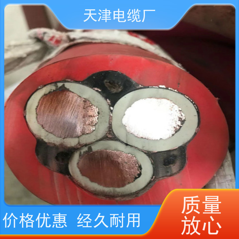 信号电缆厂家动车专用信号电缆ZRC-PTYL22天津