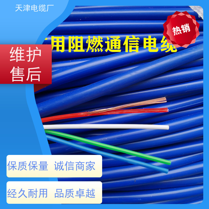 大对数通讯电缆电话通信用电缆厂商ZRB-HYA22天联