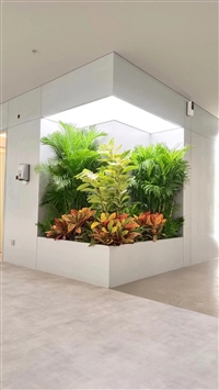 上地花卉绿植租摆 上地花卉绿植出租 北京绿锦缘园艺有限公司