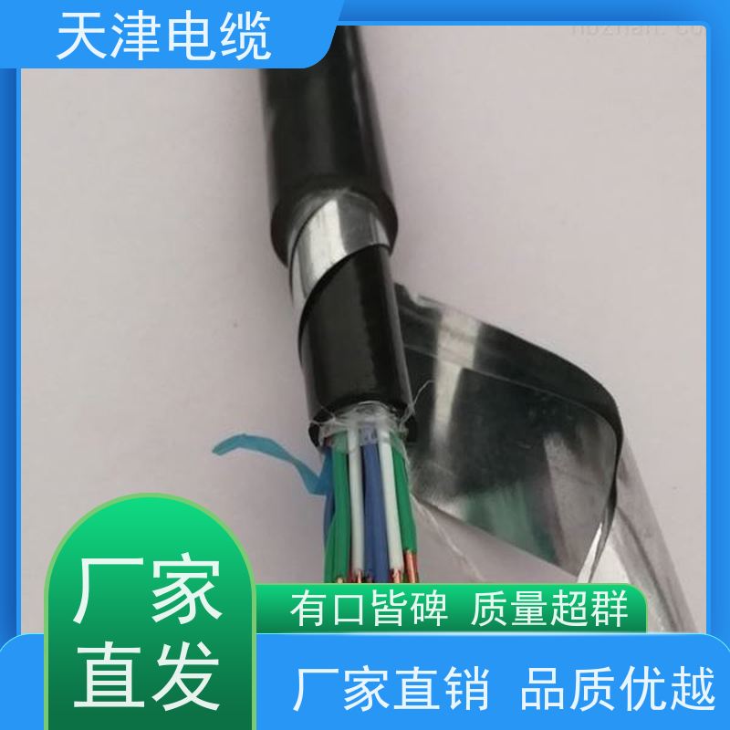 屏蔽控制电缆屏蔽控制电缆生产厂商ZRC-KVVP22