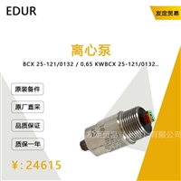 德国EDUR  BCX 25-121/0132/0,65 KW离心泵议价