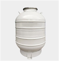 60升210mm口径大容量低温液氮罐 TW-YDG-60B-210冒烟冰激凌桶