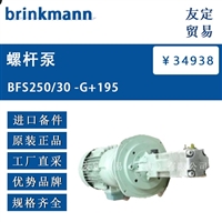 brinkmann BFS250/30-G+195 螺杆泵 议价