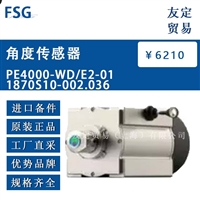 FSG PE4000-WD/E2-011870S10-002.036 角度传感器 议价