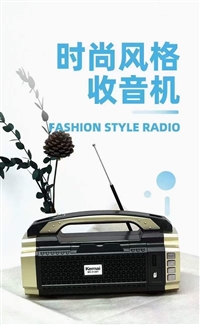 大量回收蓝牙音箱:插卡音响扩音器、拉杆广场舞音响、ktv音箱音响